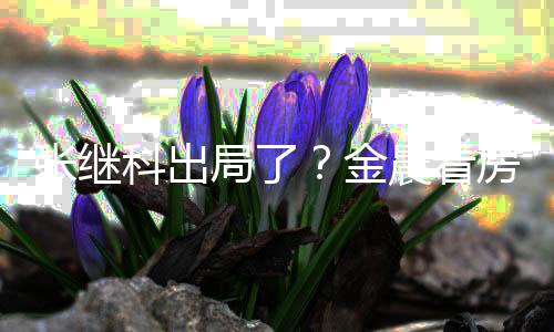 陪伴晨看张继局了金全程科出房获神秘帅哥
